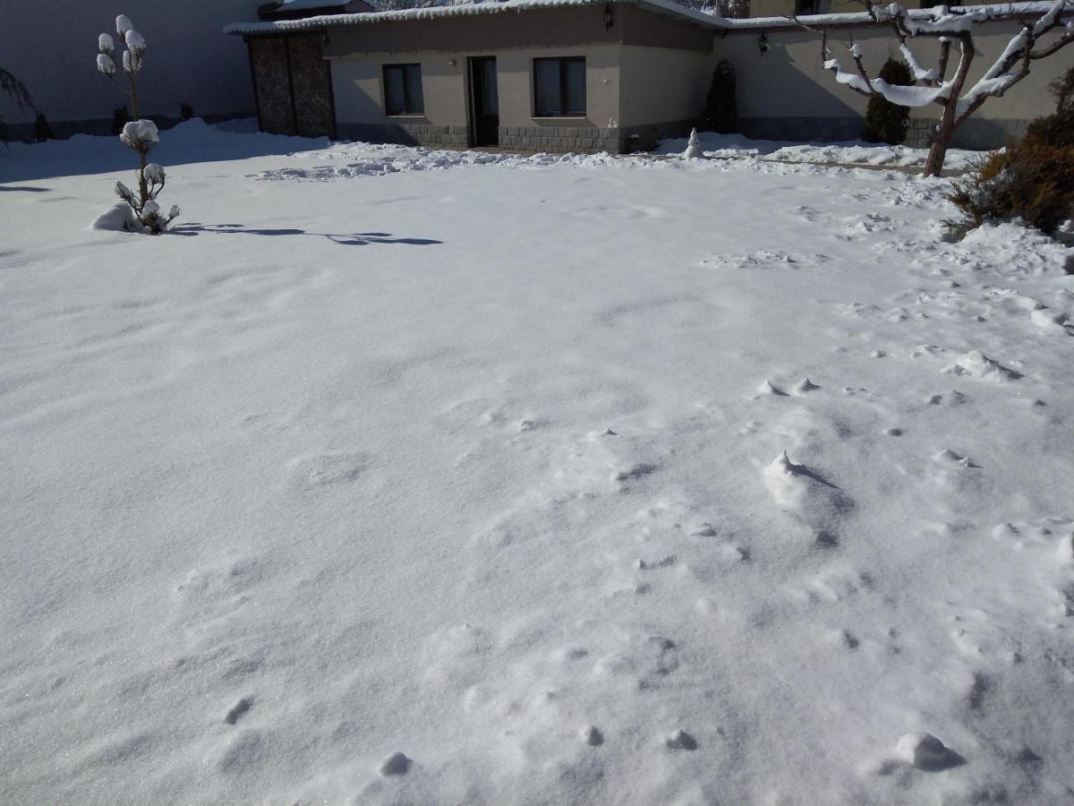 Sveti Nikola Villas Near Borovets Shiroki Dol Εξωτερικό φωτογραφία