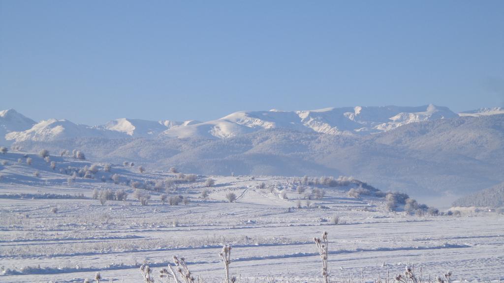 Sveti Nikola Villas Near Borovets Shiroki Dol Δωμάτιο φωτογραφία